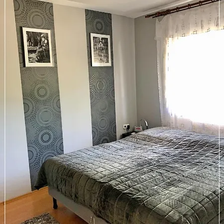 Csi - Pet Apartman Kehidakustany
