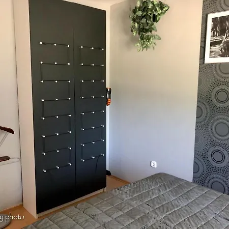 Csi - Pet Apartman