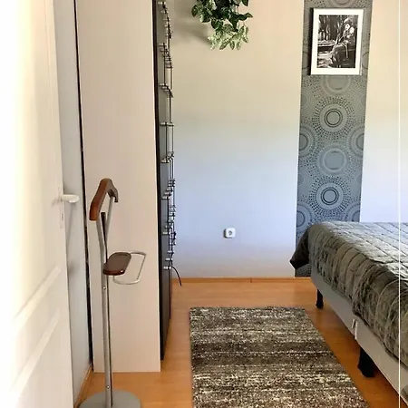 Csi - Pet Apartman Kehidakustány