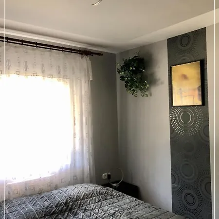 Apartment Csi - Pet Apartman